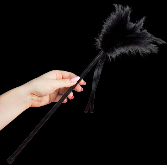 SECRETPLAY PLUMERO PLUMAS NEGRO 40 CM