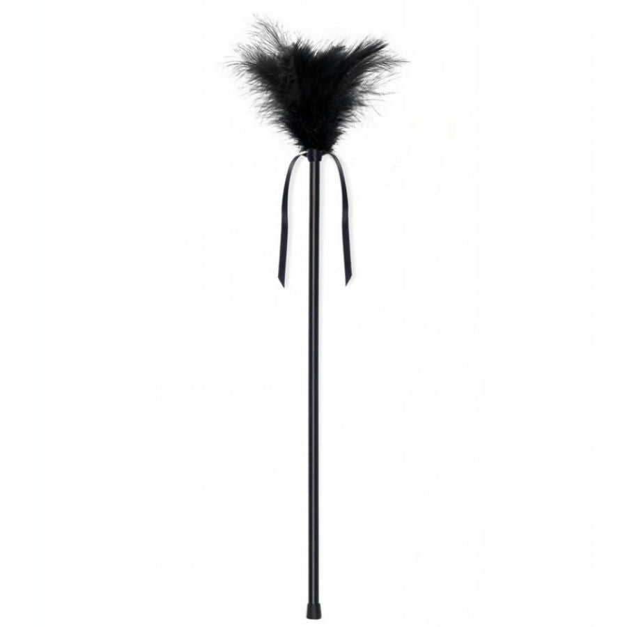 SECRETPLAY PLUMERO PLUMAS NEGRO 40 CM