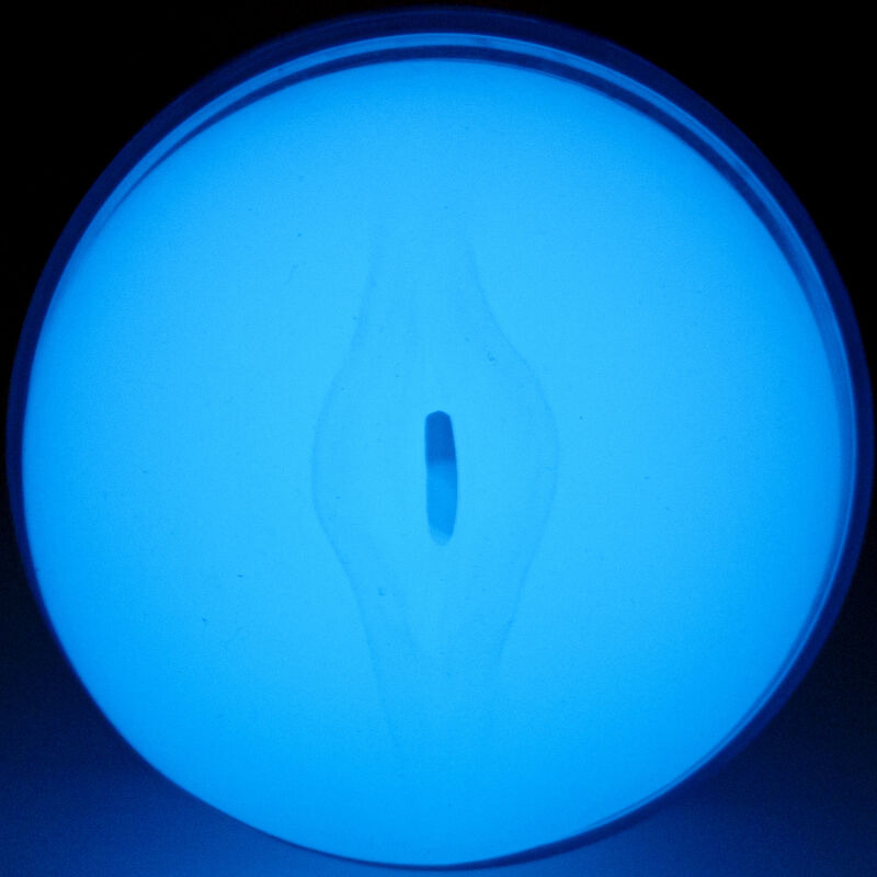 KIIROO FEEL GLOW IN THE DARK STROKER