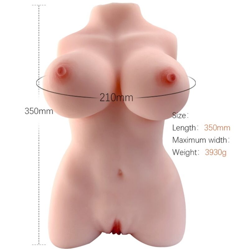 ARMONY TORSO FEMENINO REALISTICO MODELO 3